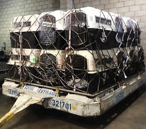 Puppies imported for retail purposes (photo source)