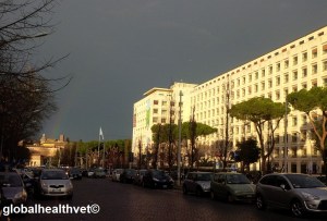 FAO on a stormy day (with a rainbow)