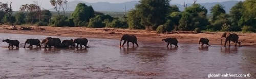 Since we were so close to the Samburu National Park - We had to stop by for a visit